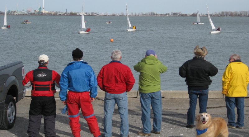 A Golden Retriever and 5 observers on Springer Wharf